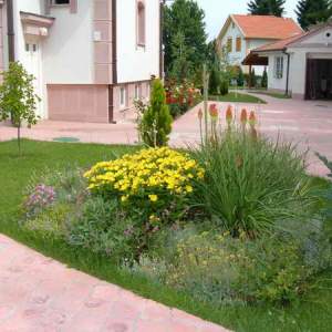 Cveće (perene trajnice)