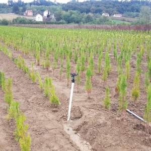 Izrada zalivnih sistema